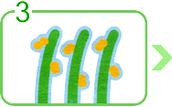 ダストコントロールの仕組み003