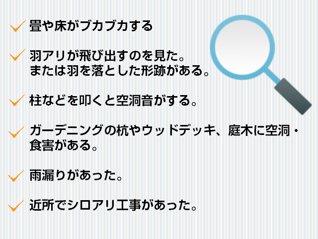 シロアリ発見ポイント内容